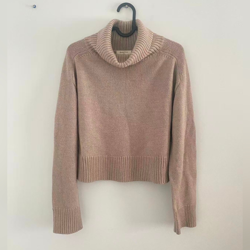 Great Condition Babaton Turtleneck Sweater